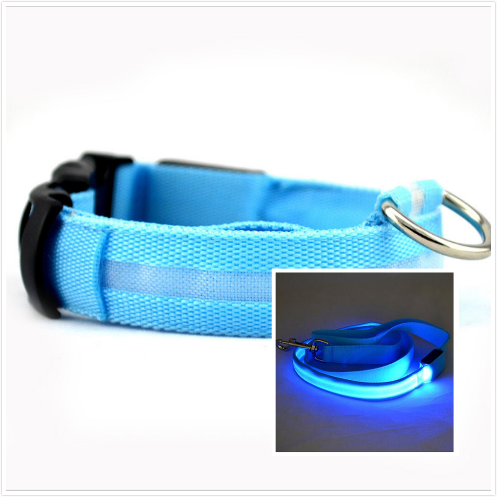 LED Dog Collar