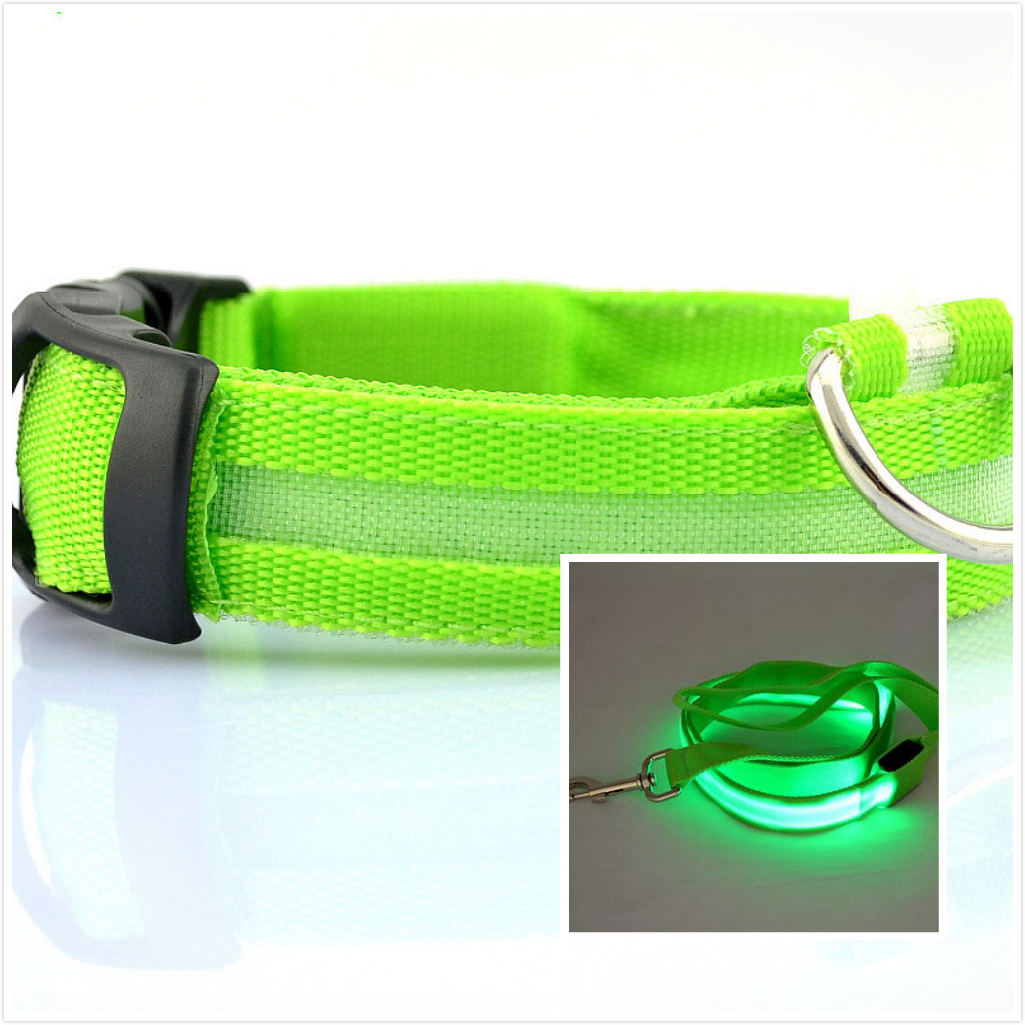 LED Dog Collar