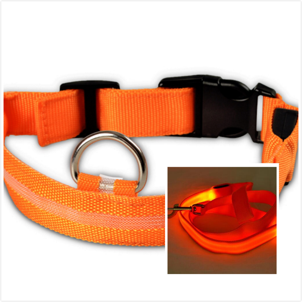 LED Dog Collar