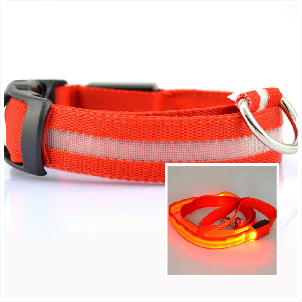 LED Dog Collar