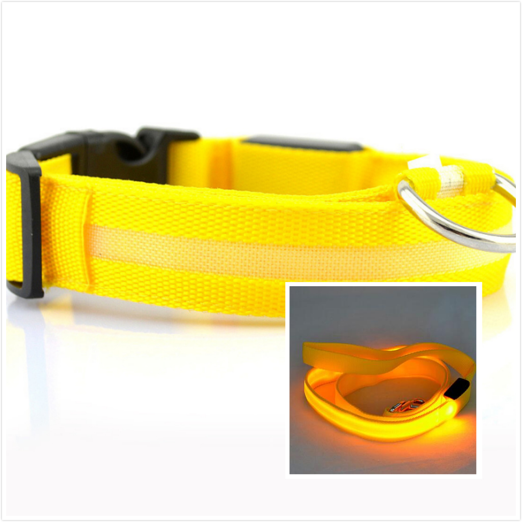 LED Dog Collar