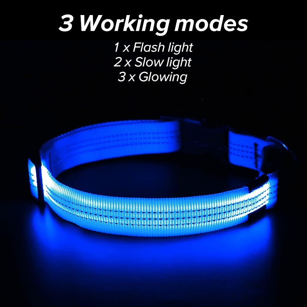 LED Dog Collar