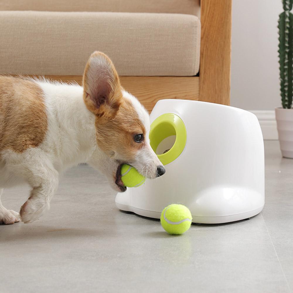 Automatic Tennis Dog Launcher