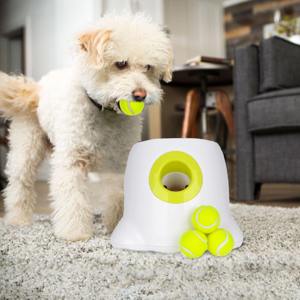 Automatic Tennis Dog Launcher