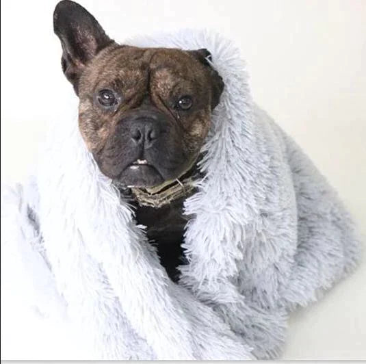 DeepSleep Pet Blanket