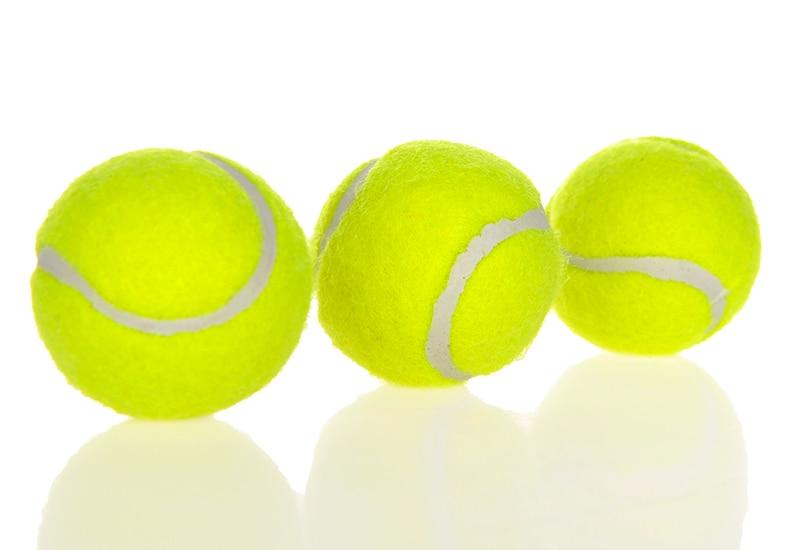 Automatic Tennis Dog Launcher