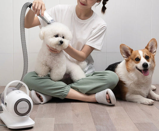 5-in-1 Professional Pet Grooming Kit