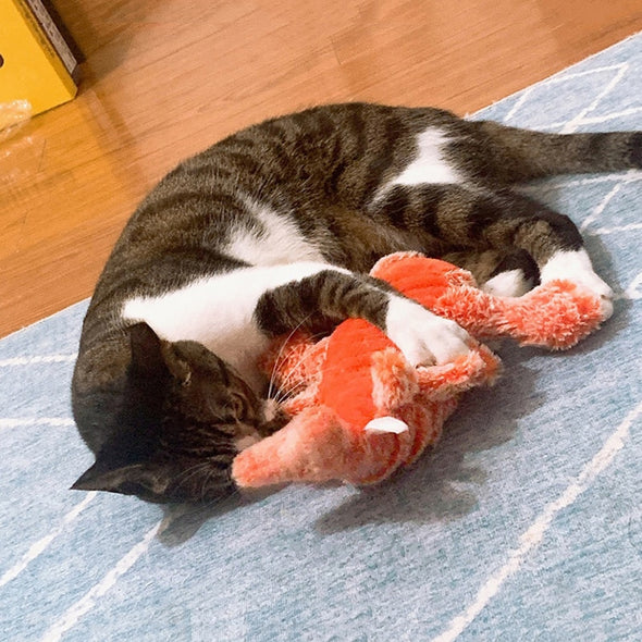 Lobster Toy