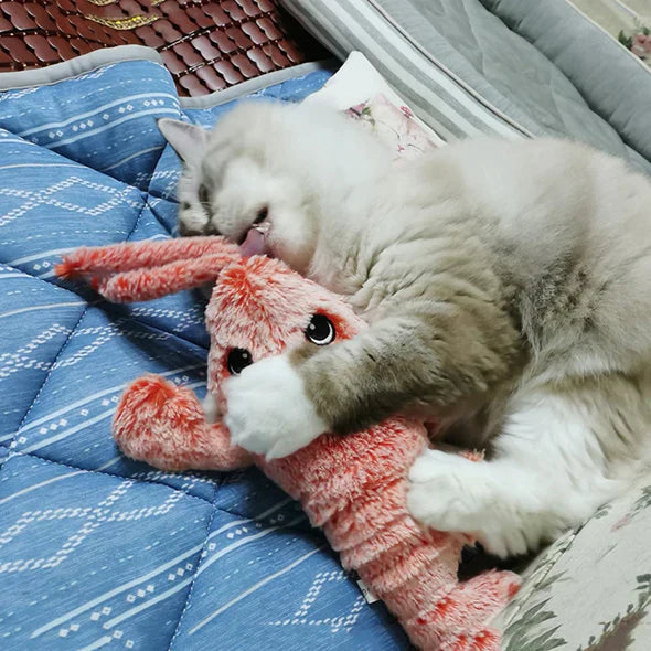Lobster Toy