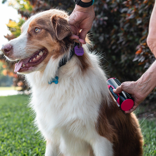 Petify SilkyBrush™