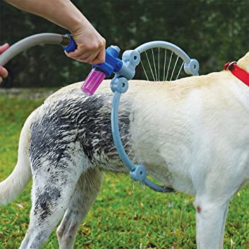 Dog Shower Ring