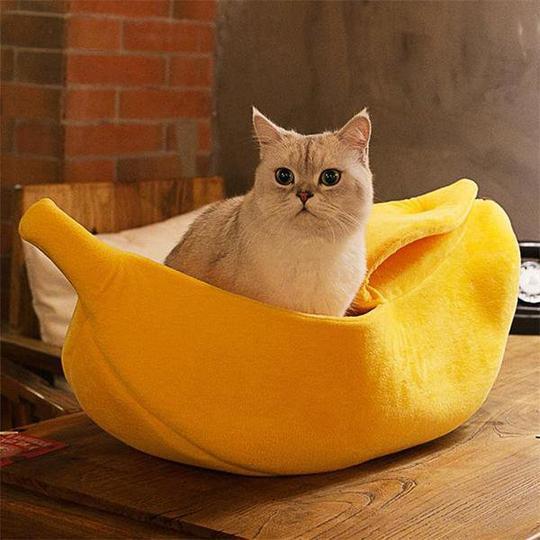 BananaMeow™ Shelter