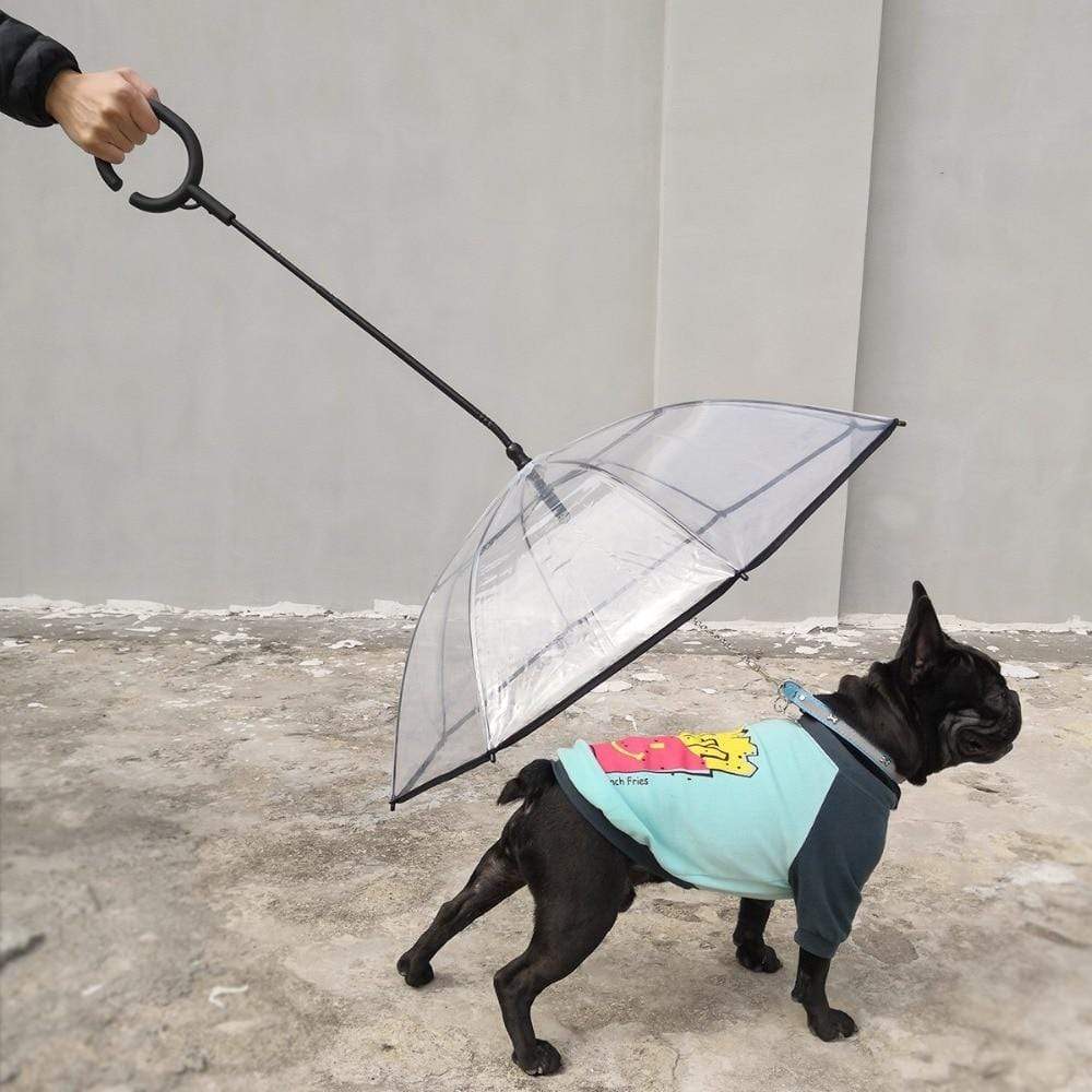 Dog Umbrella™