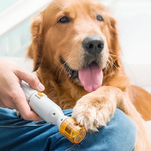 Automatic Pet Nail Grinder