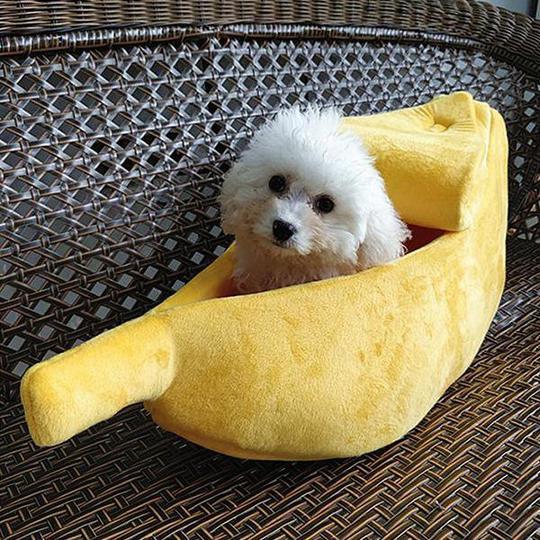 BananaMeow™ Shelter