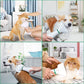Premium "3in1" Pet Dryer