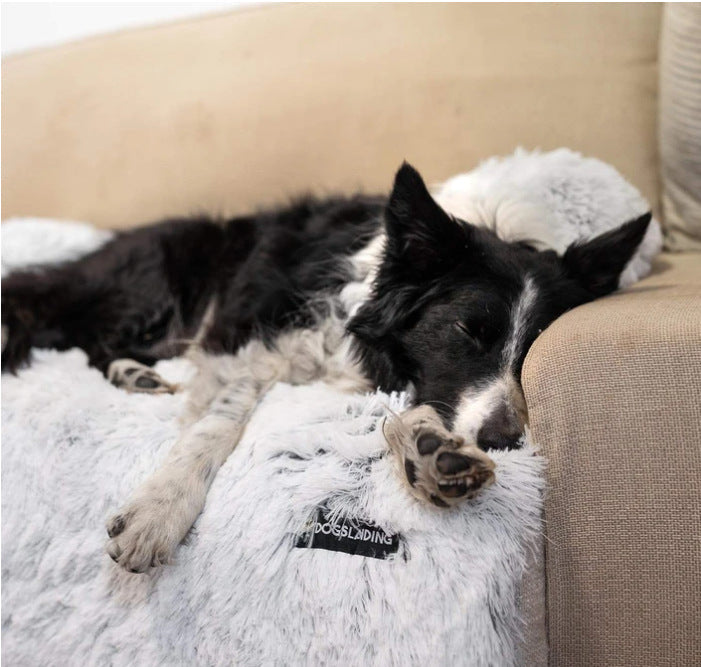 Pet Sofa Bed