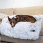 Pet Sofa Bed