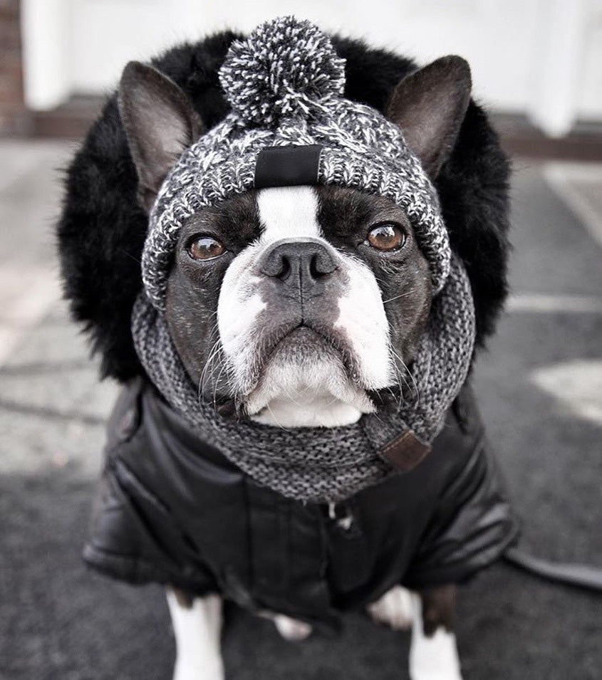 WoolenSheep™ - Dog's Polar Hat