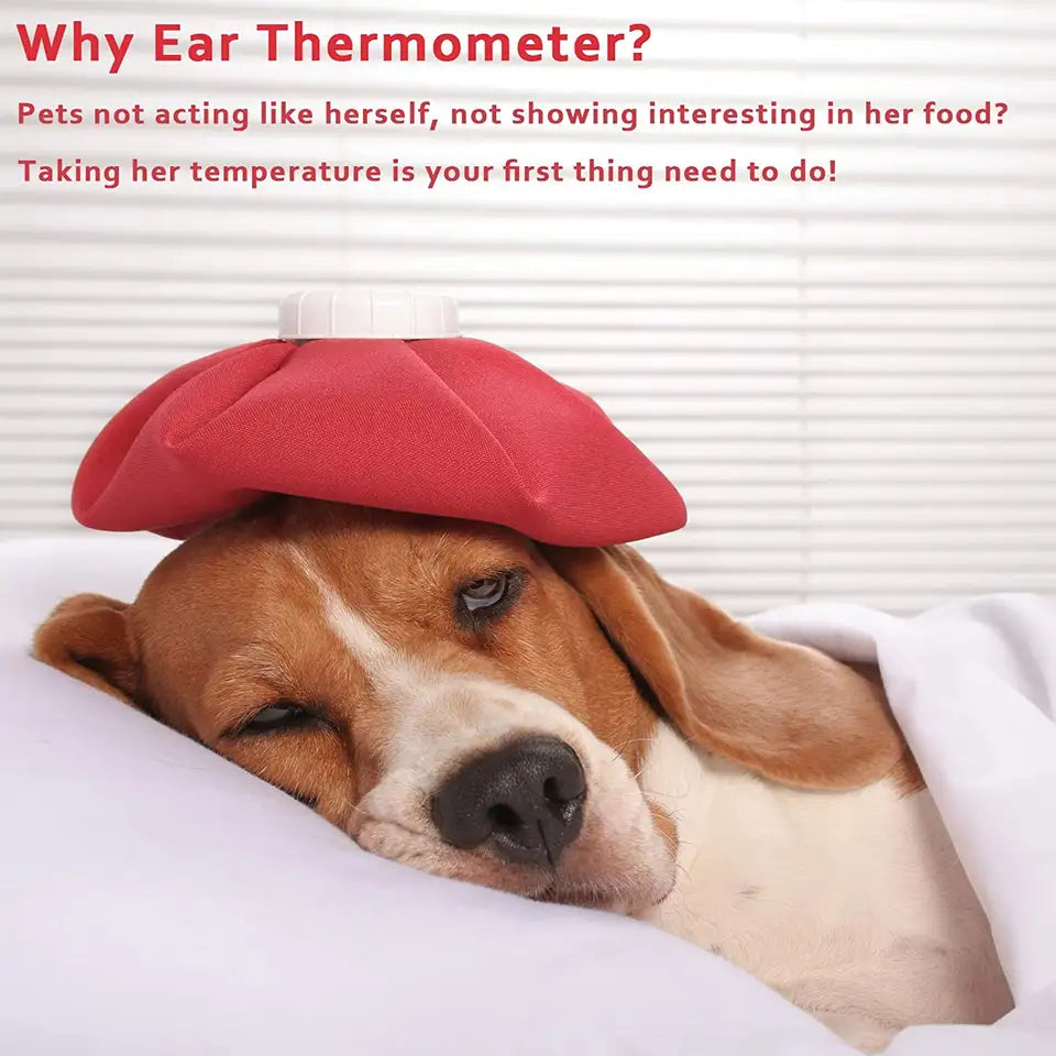 Instant Ear Thermometer