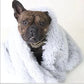 DeepSleep Pet Blanket