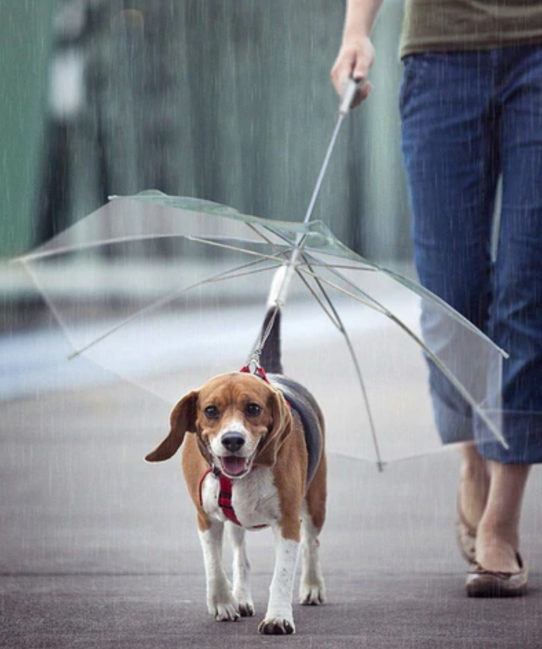 Dog Umbrella™