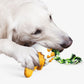 Dinosaur Eggs Dog Chew Toy