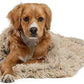 DeepSleep Pet Blanket