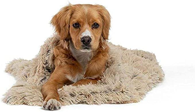 DeepSleep Pet Blanket