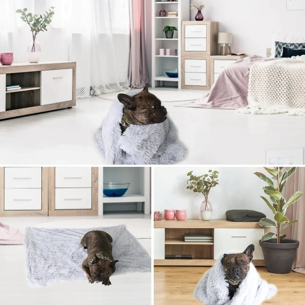 DeepSleep Pet Blanket