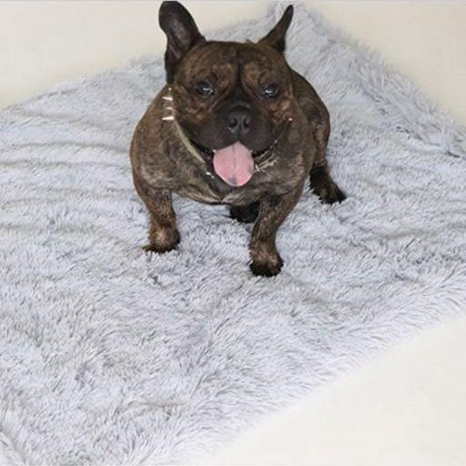 DeepSleep Pet Blanket