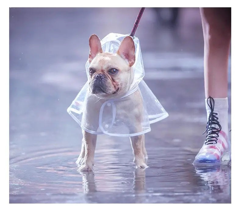 Transparent Waterproof Raincoat