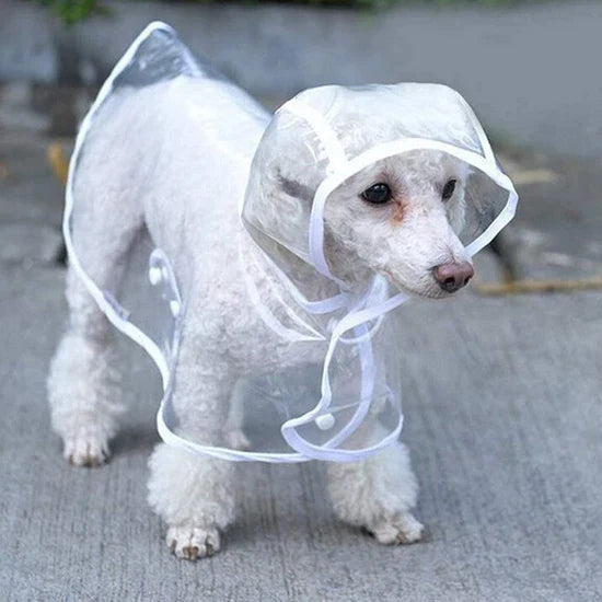 Transparent Waterproof Raincoat