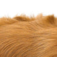Grooming Vacuum Attachment
