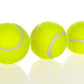 Automatic Tennis Dog Launcher
