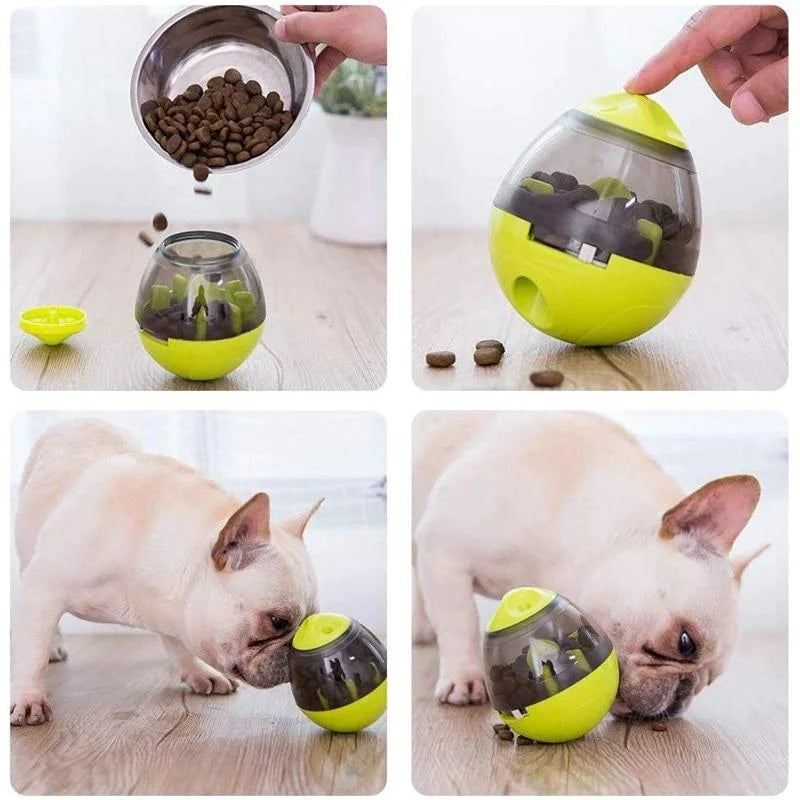 Smart-Egg for Pets