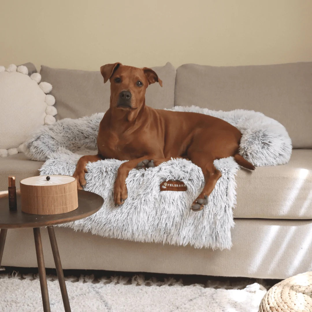 Pet Sofa Bed