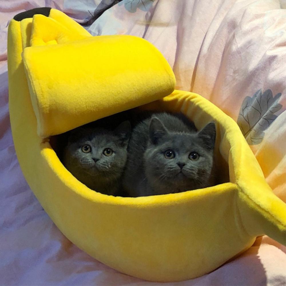 BananaMeow™ Shelter