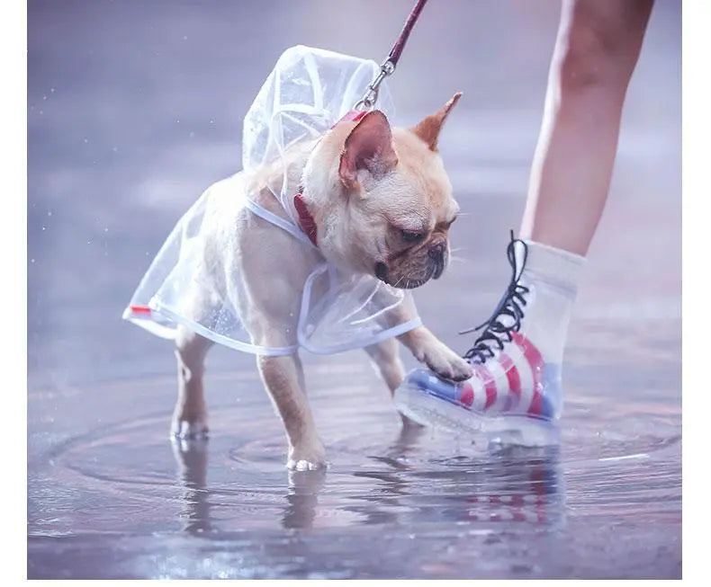 Transparent Waterproof Raincoat