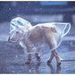 Transparent Waterproof Raincoat