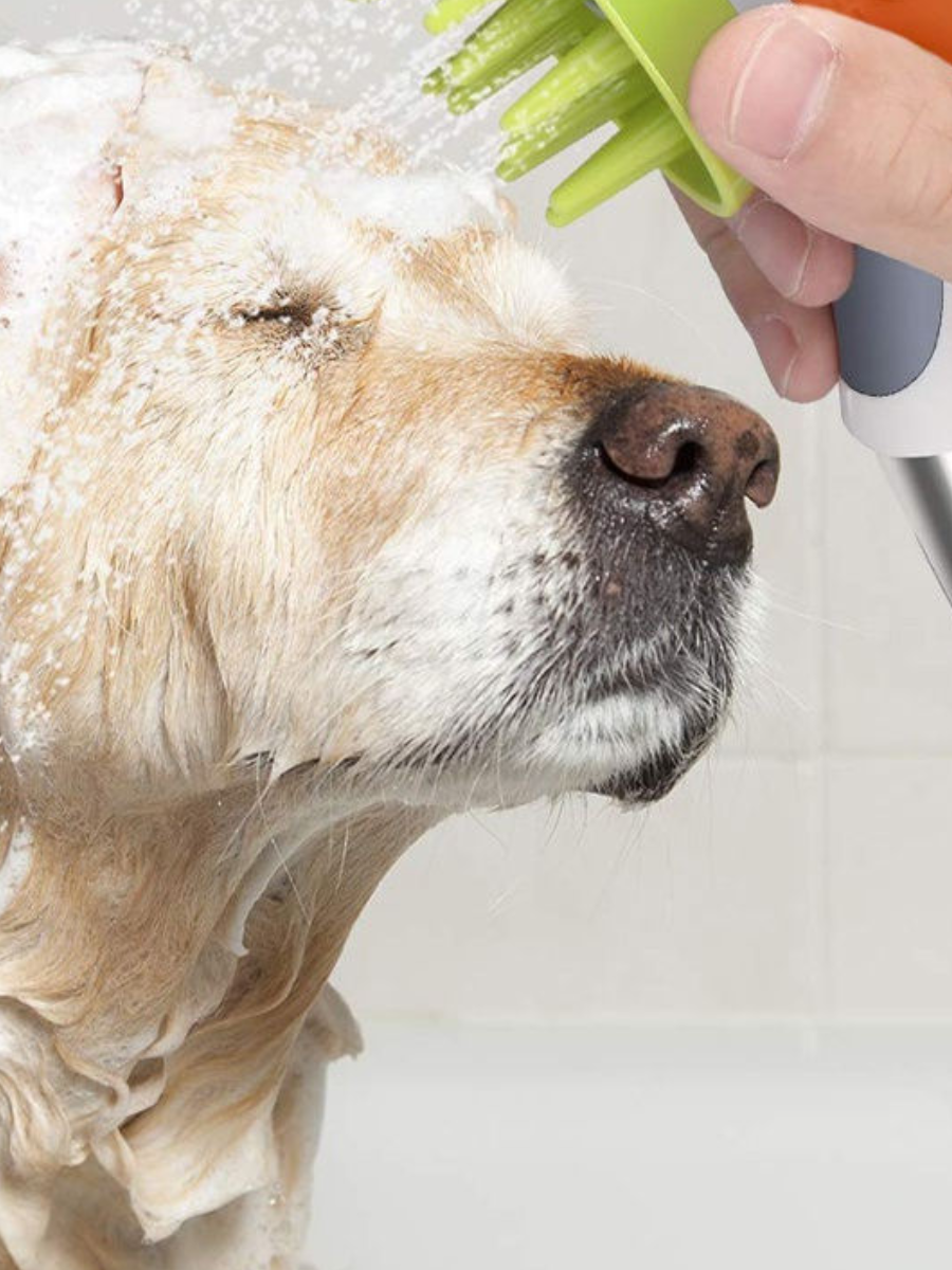 Pet Shower Brush